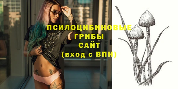 мдпв Бородино