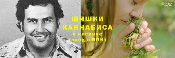 мдпв Бородино