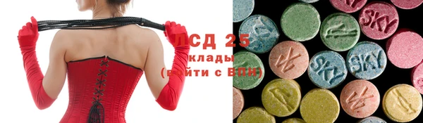 мдпв Бородино