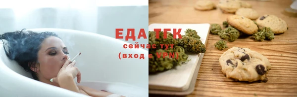 мдпв Бородино