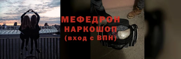 мдпв Бородино