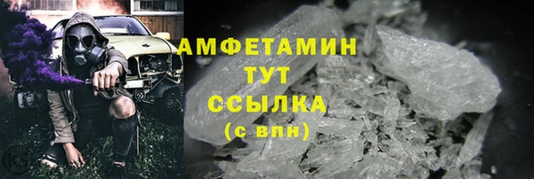 мдпв Бородино