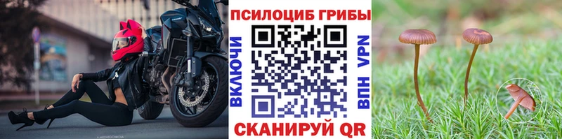 Псилоцибиновые грибы GOLDEN TEACHER Купить закладки Сосногорск